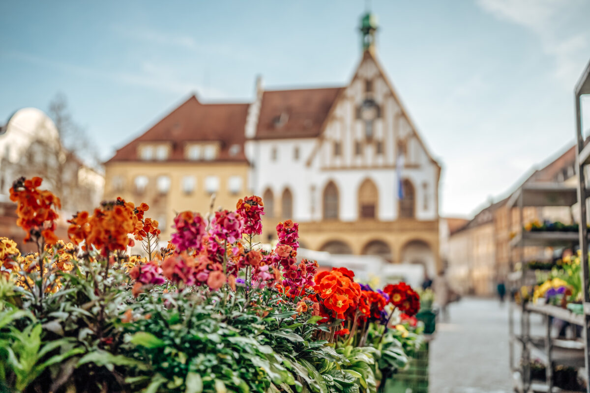 Kurz notiert: Amberg - Bauernmarkt auf 30. April vorverlegt
