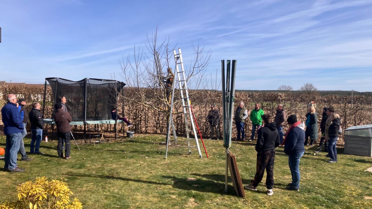 Nachhaltige Baumpflege begeistert in Kaltenbrunn