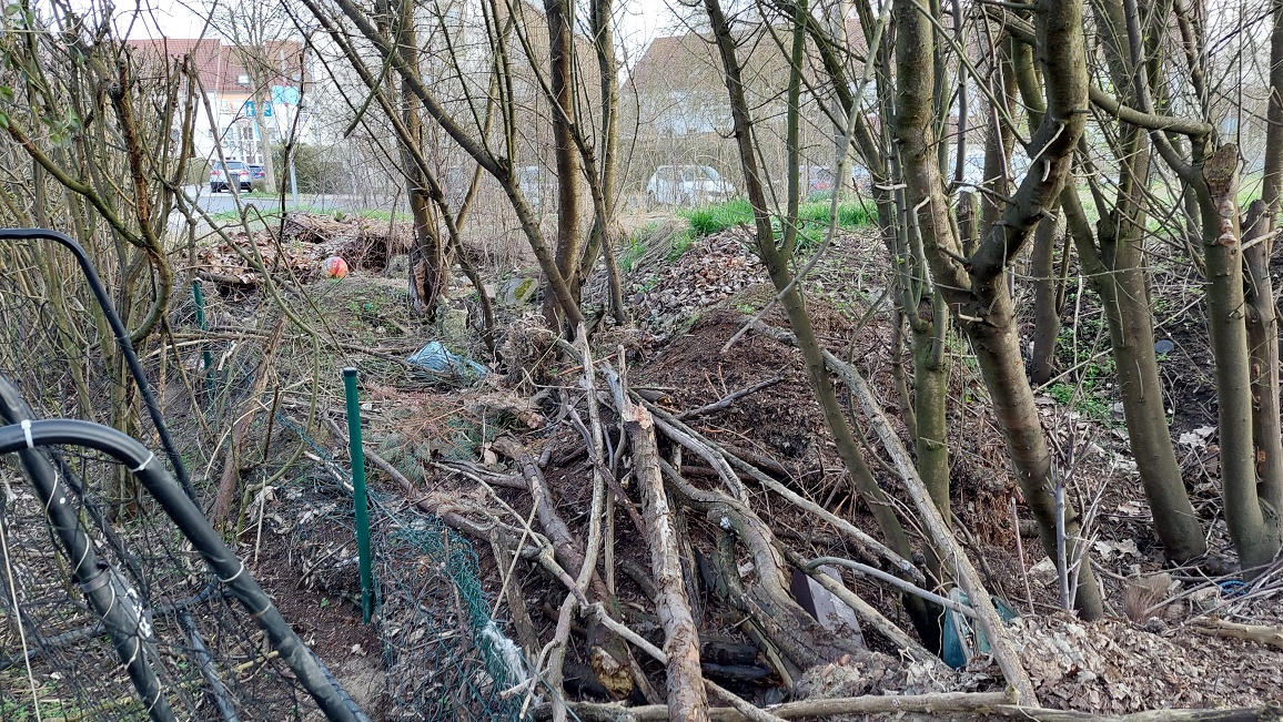 Stadt Amberg bittet um Hinweise zu illegaler Grüngutablagerung