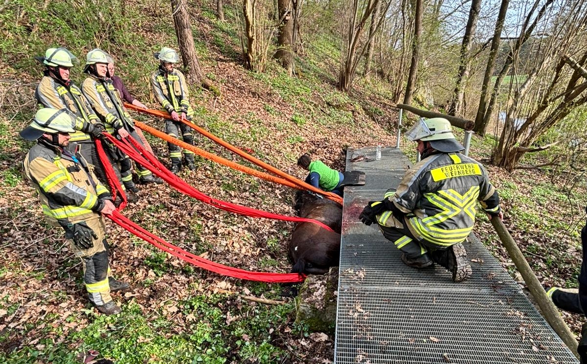 Stundenlange Rettung bei Wernberg-Köblitz Pferd unter Brücke befreit