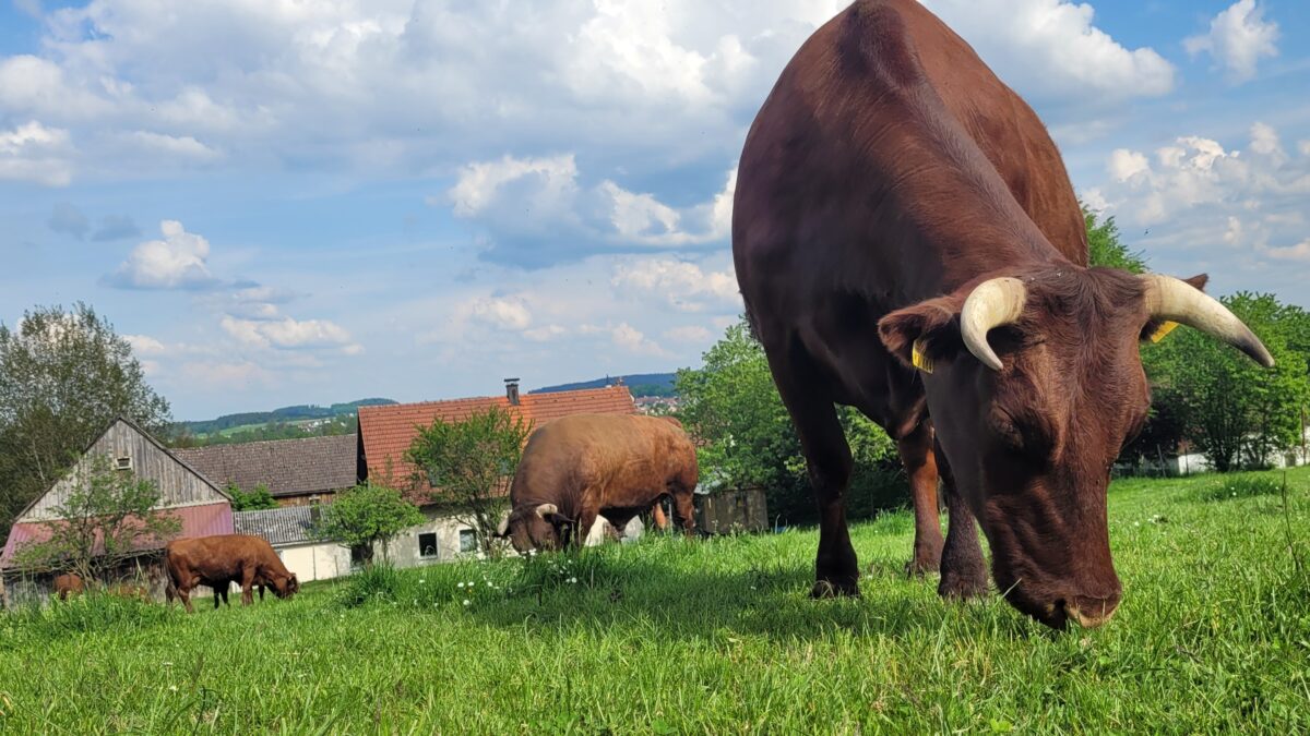 Entdeckertouren-Broschüre bündelt Jahresprogramm in Moosbach