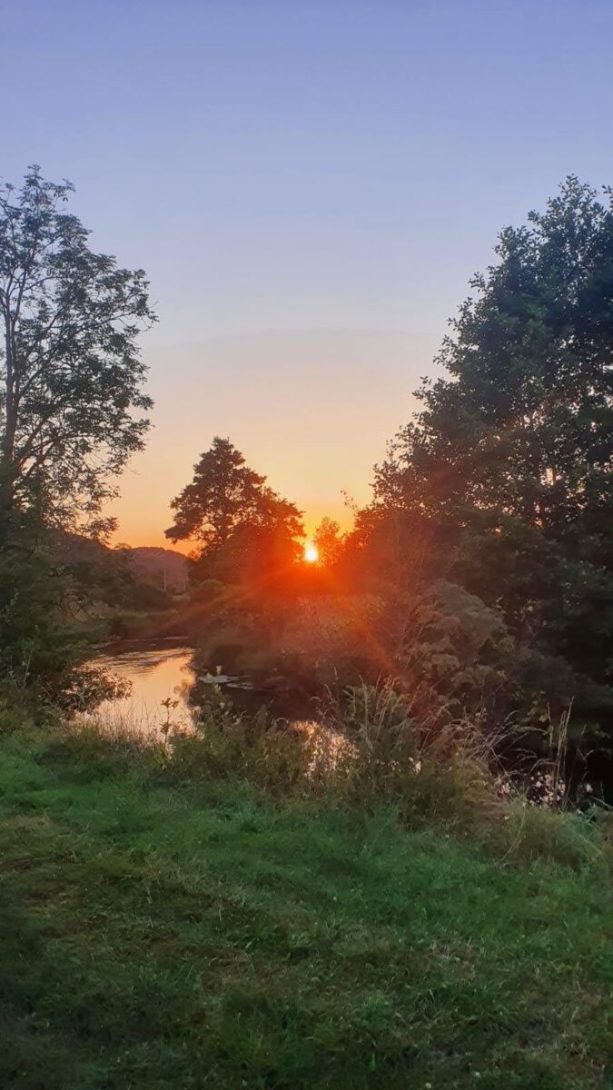 Rangerführungen im Naturpark Hirschwald