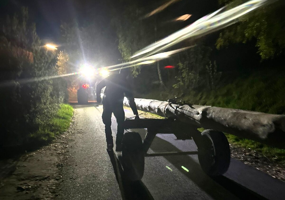 Ein Rekord für die Ewigkeit? Junge Leute klauen acht Maibäume in der Region