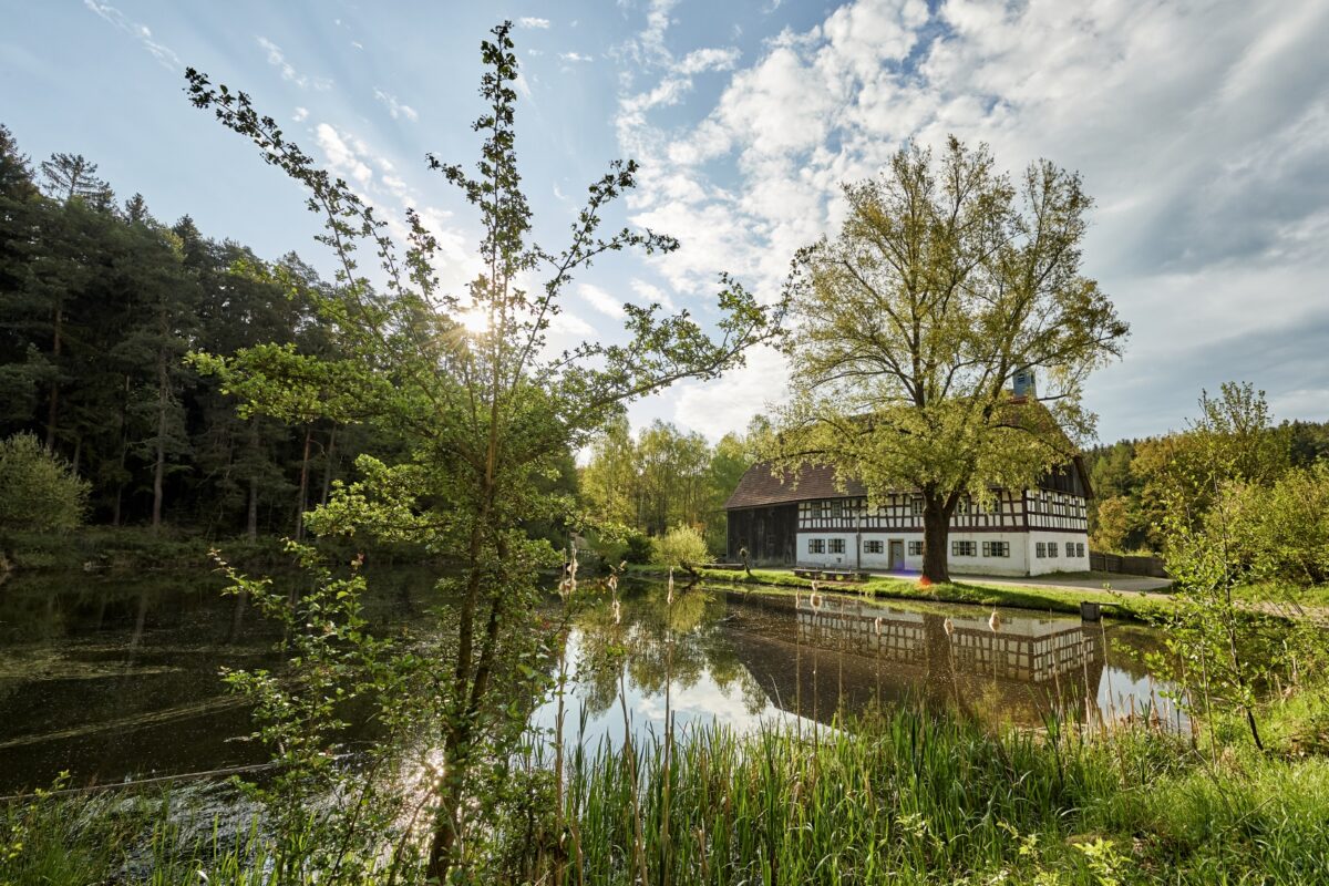 Es klappert die Mühle im Freilandmuseum