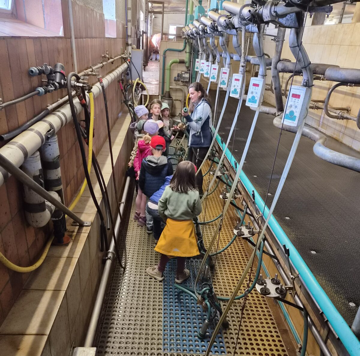 Lernen, Backen und Staunen auf dem Bauernhof