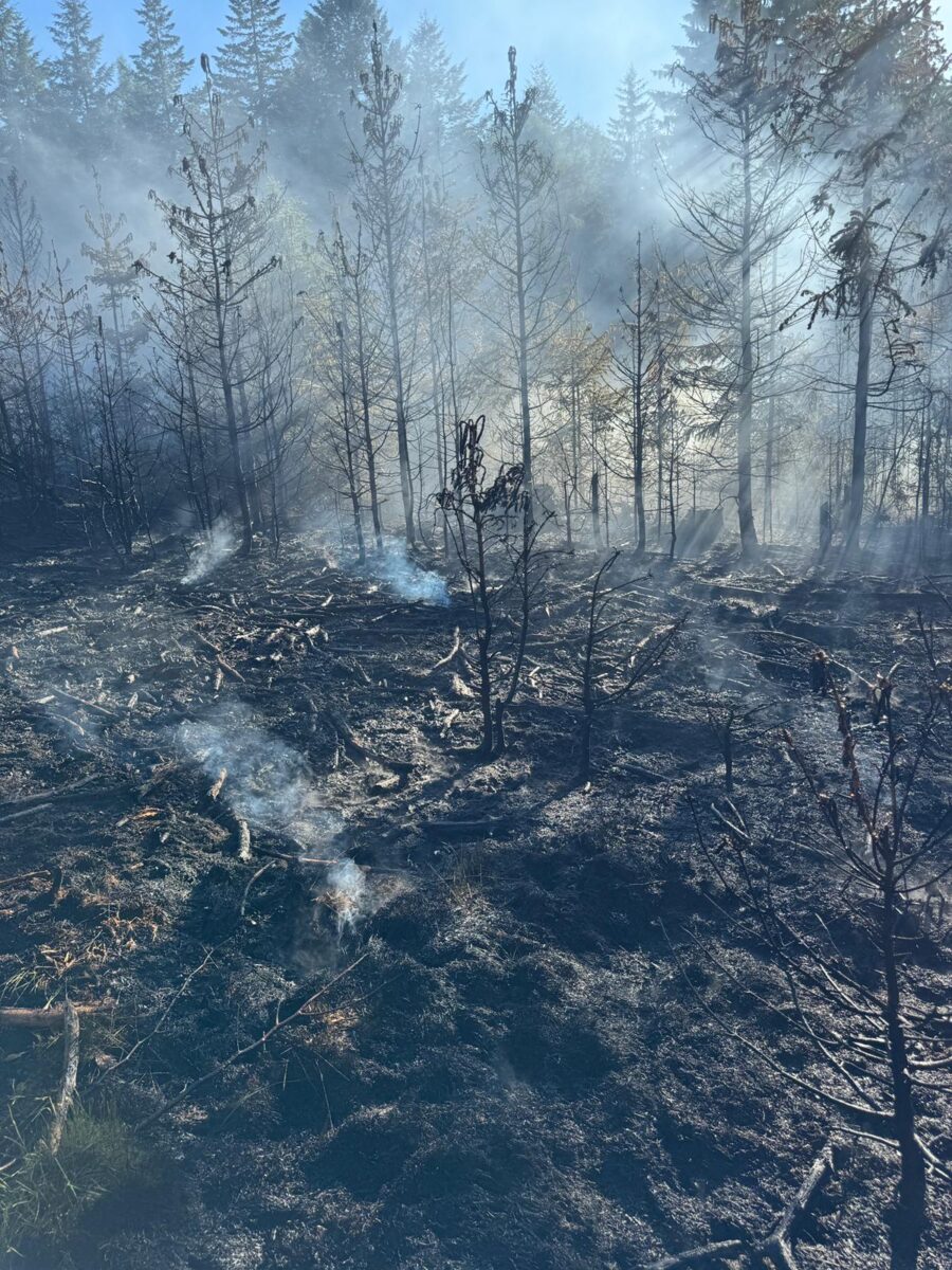 Waldbrand auf 10.000 Quadratmetern bei Etzgersrieth und Wildstein