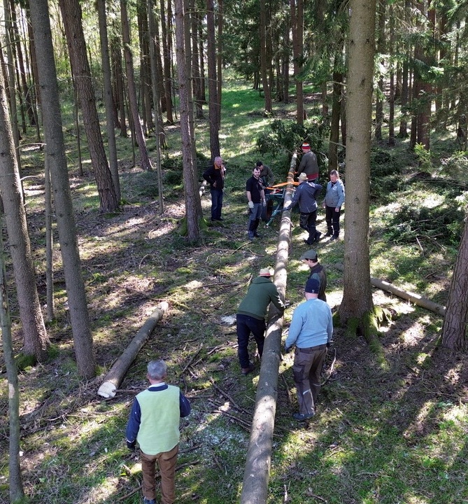 Gemeinschaft in Naslitz stemmt 24 Meter hohen Maibaum