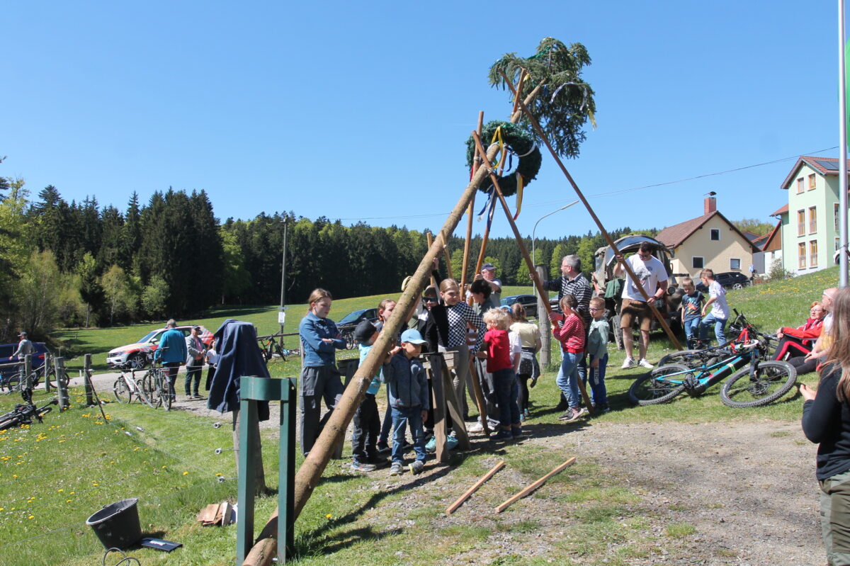 Begeisterte Kinder stellen Maibaum in Georgenberg auf