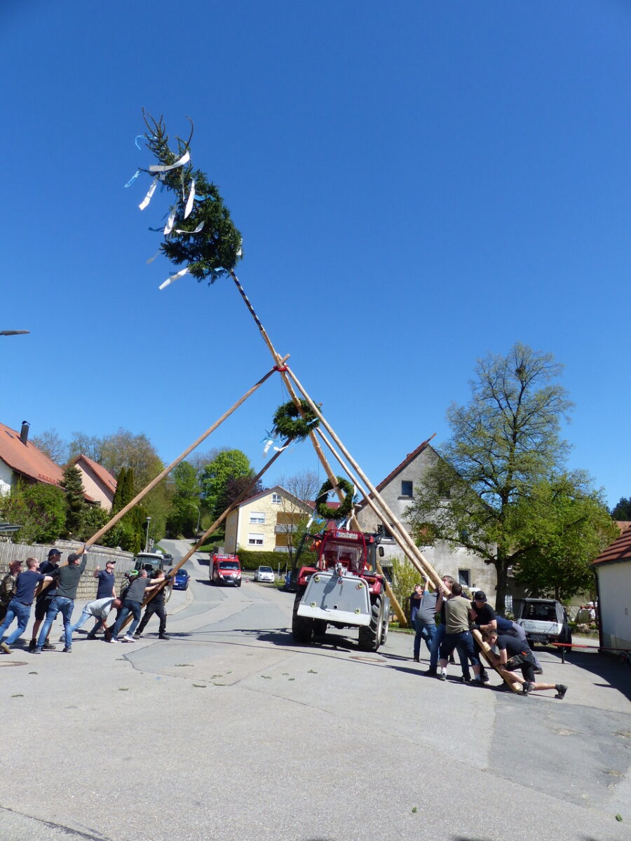 Dorfgemeinschaft stellt 22 Meter Maibaum in Döllnitz auf
