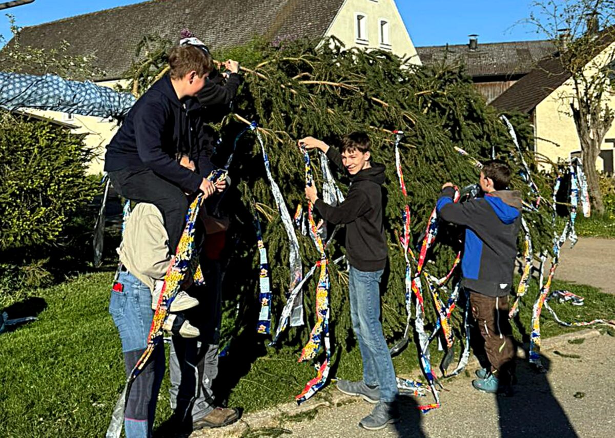 Feuerwehr in Mallersricht stellt 31-Meter-Maibaum in fünf Minuten