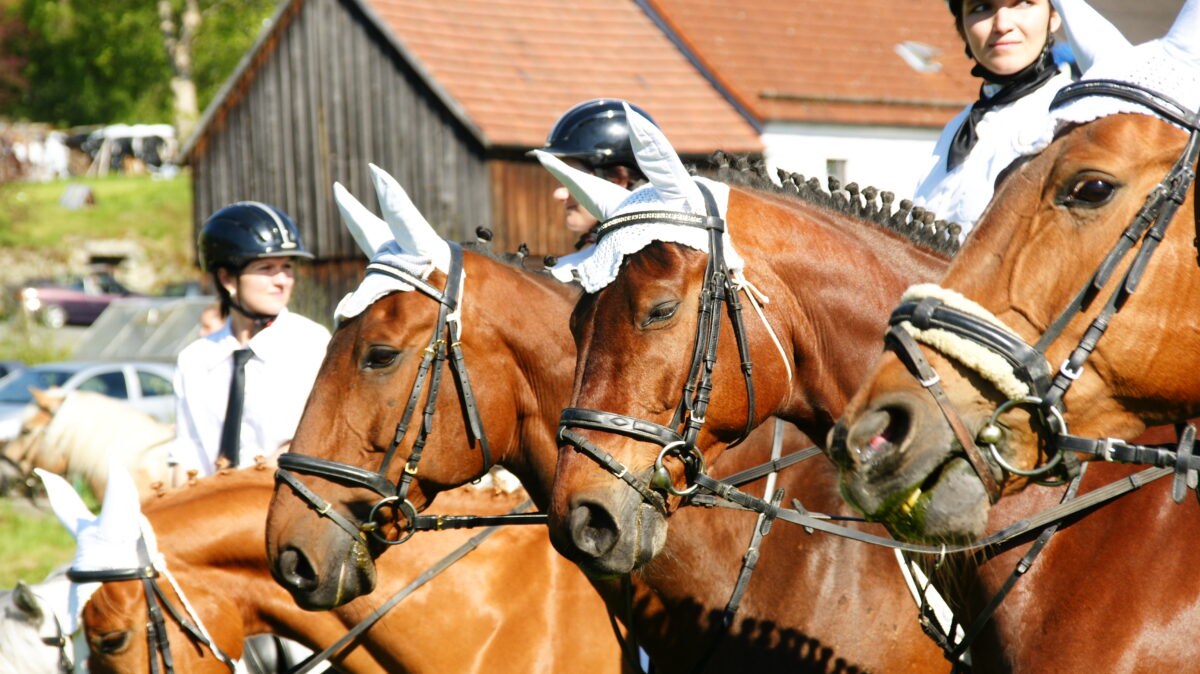 Feuerwehrjubiläum in Beidl mit Leonhardiritt am Pfingstmontag 2026