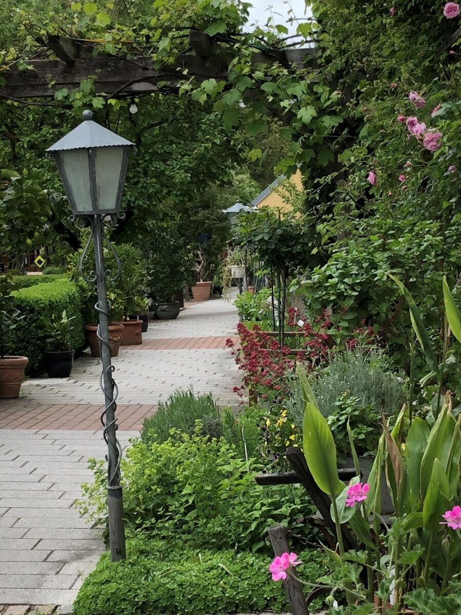 Gartenbauverein lädt zu Fronleichnam und Hollerküchlfest in Schnaittenbach