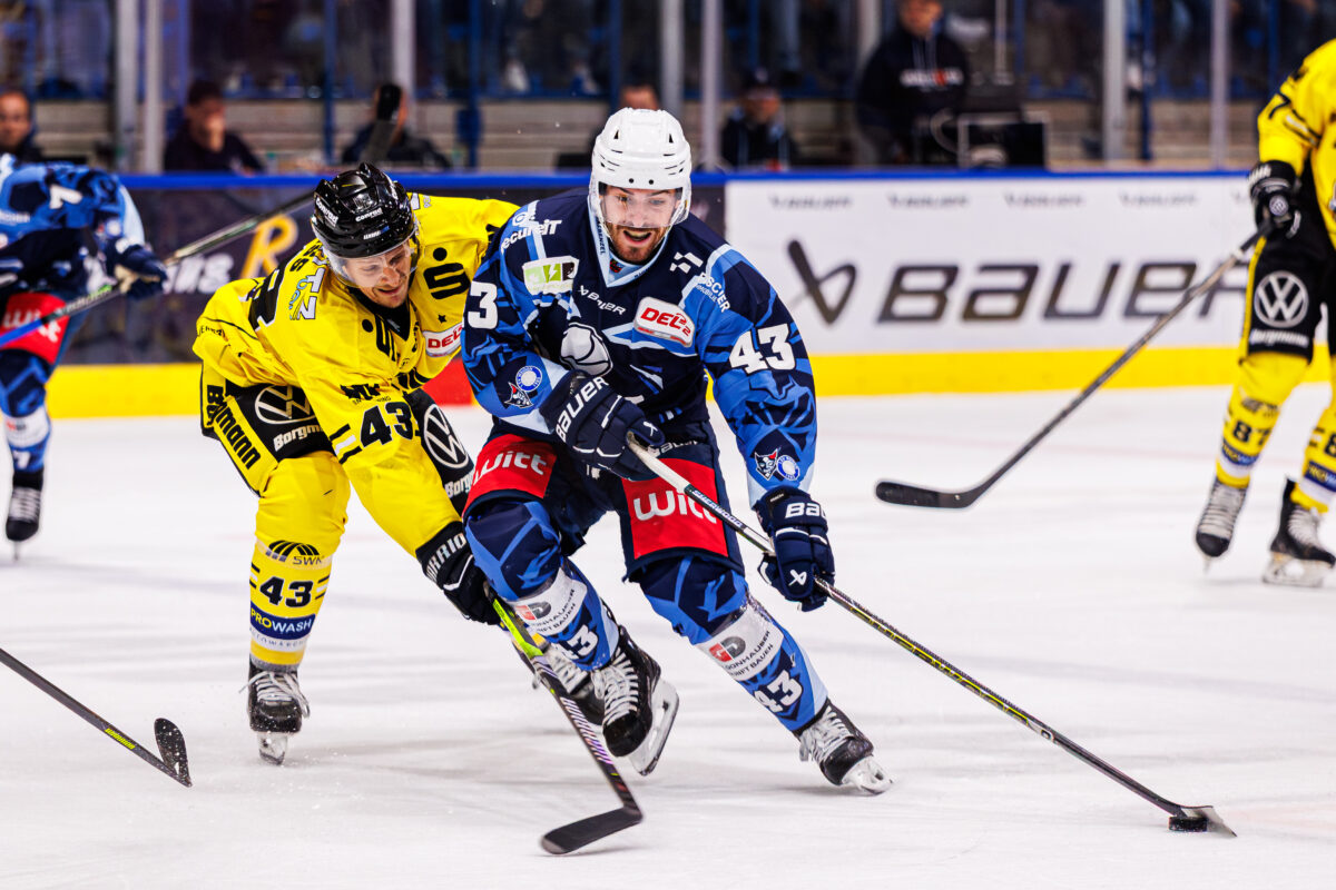 Ribnitzky und Kolb verlassen Blue Devils Weiden