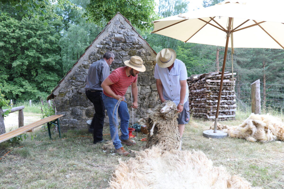 Schaftag und Spinntreffen im Freilandmuseum Oberpfalz in Nabburg