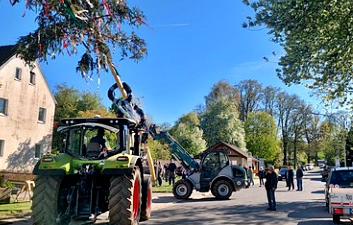 Schnupferclub stellt 26,5-Meter-Maibaum in Latsch auf