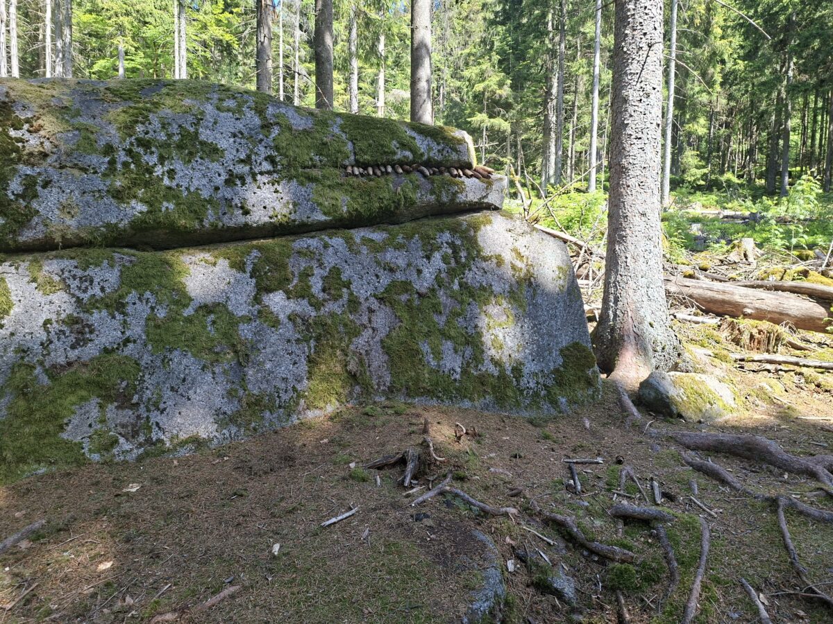 Steinwaldkrokodil erzählt bei Waldjugendspielen in Pfaben