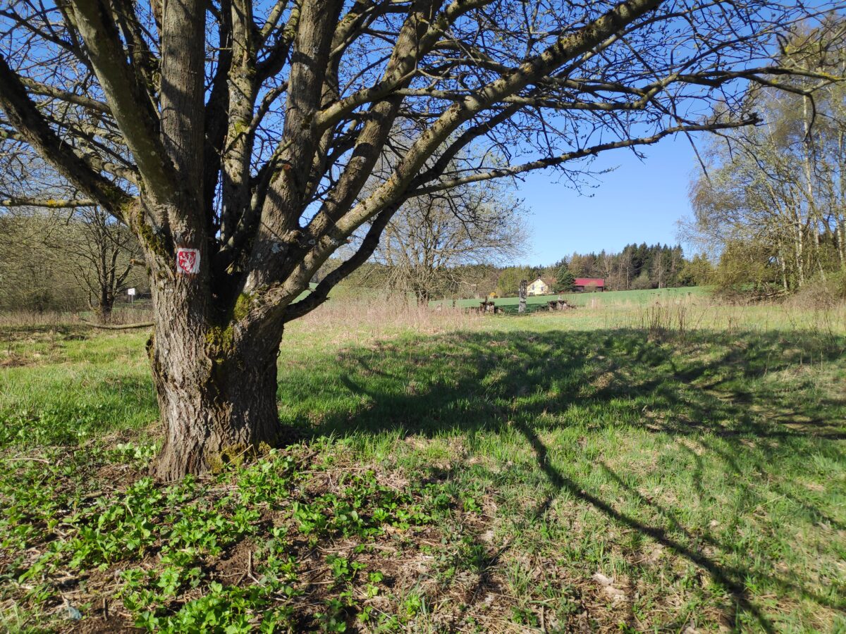 Themenwanderungen in Paulusbrunn im Gedenken an Alfred Wolf