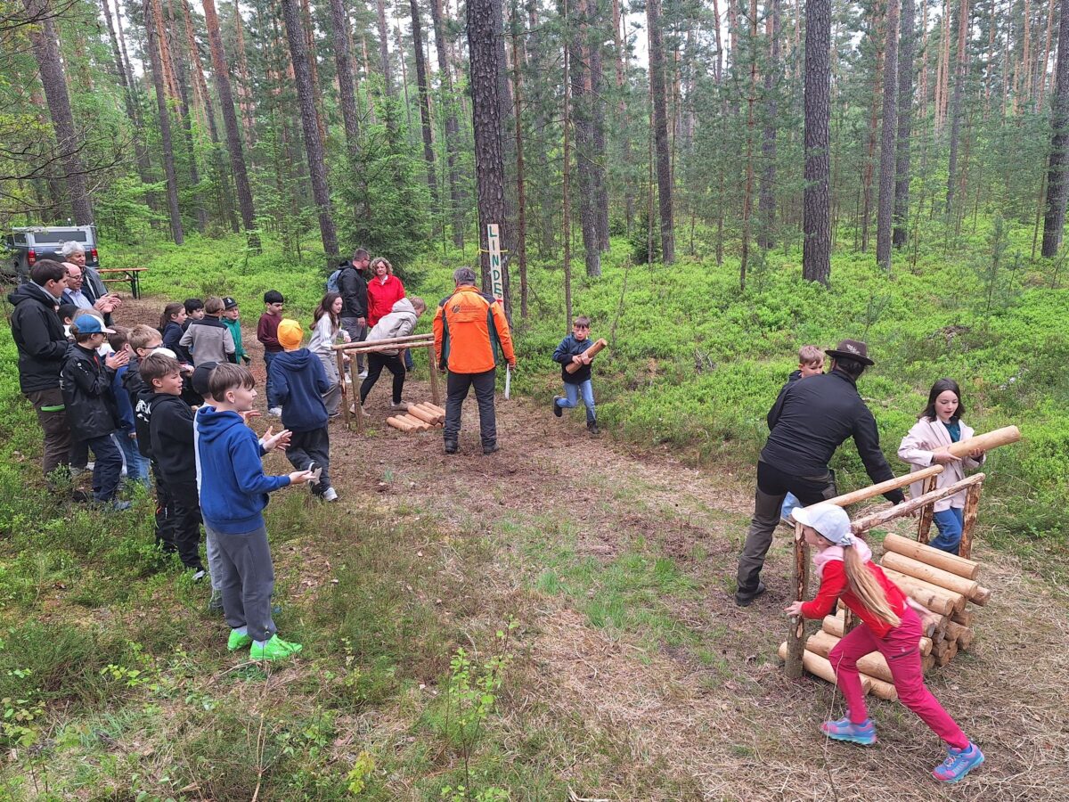 Waldjugendspiele in Rupprechtsreuth begeistern über 960 Kinder