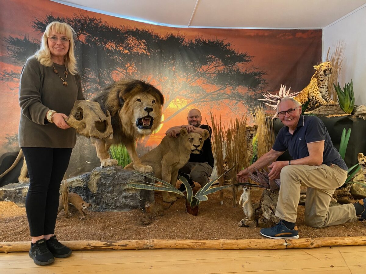 Zweiteilige Katzenausstellung eröffnet im Stadtmuseum Schwandorf