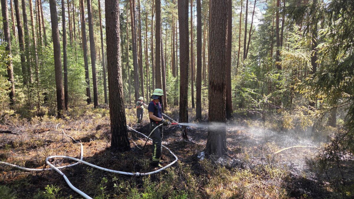 [Update] Großflächiger Waldbrand bei Schirmitz: B22 komplett gesperrt