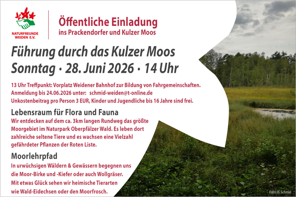Ausflug ins Naturschutzgebiert Prackendorfer und Kulzer Moos