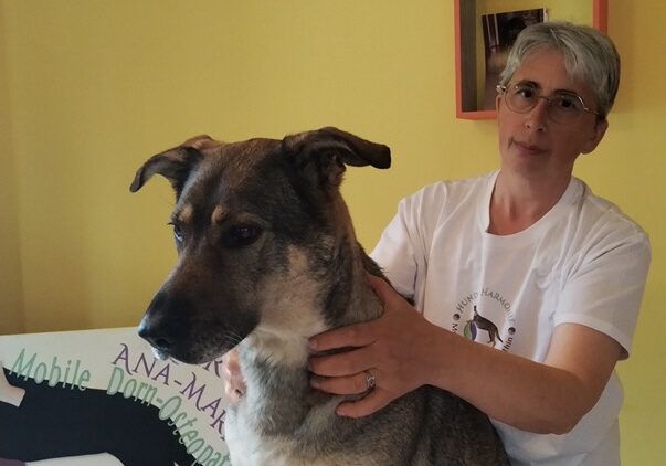Hunde-Osteopathie im Pop-up des Stadtlabors in Amberg
