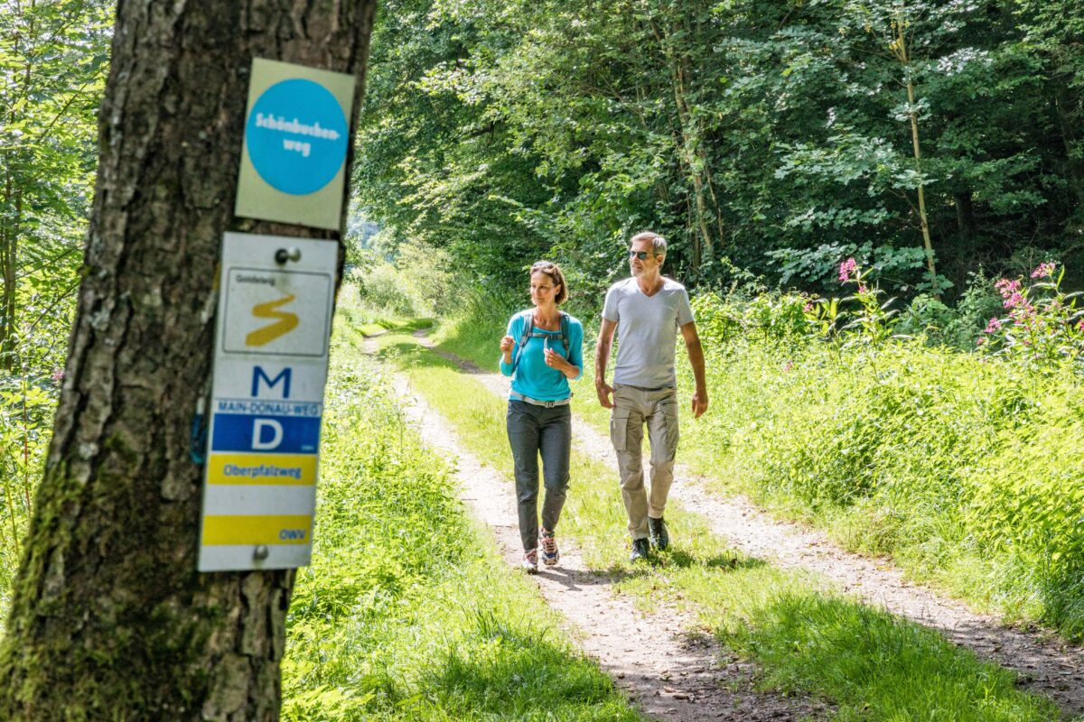 „Deutschlands schönster Wanderweg 2026": Abstimmen für den Goldsteig
