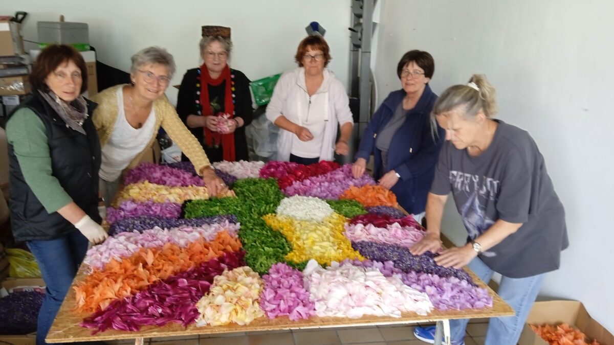 Katholischer Frauenbund legt Blumenteppich zu Fronleichnam in Floß