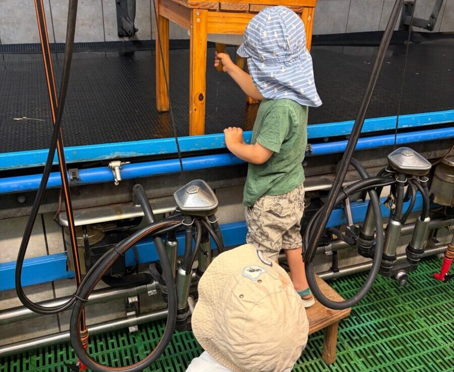 Kinder der Johanniter-Kita Theisseil erkunden Bauernhof in Schwarzach