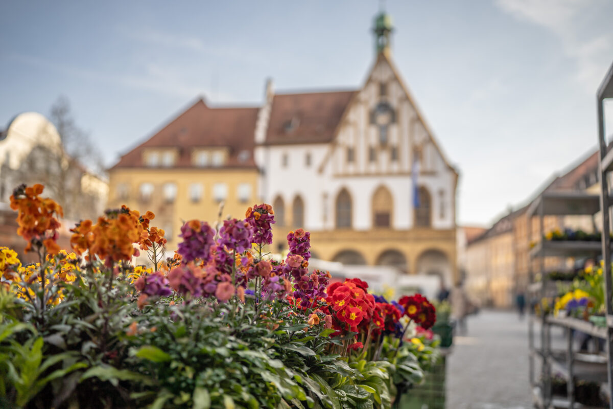 Kurz notiert: Marktplatz Amberg - Sonnwend-Markt