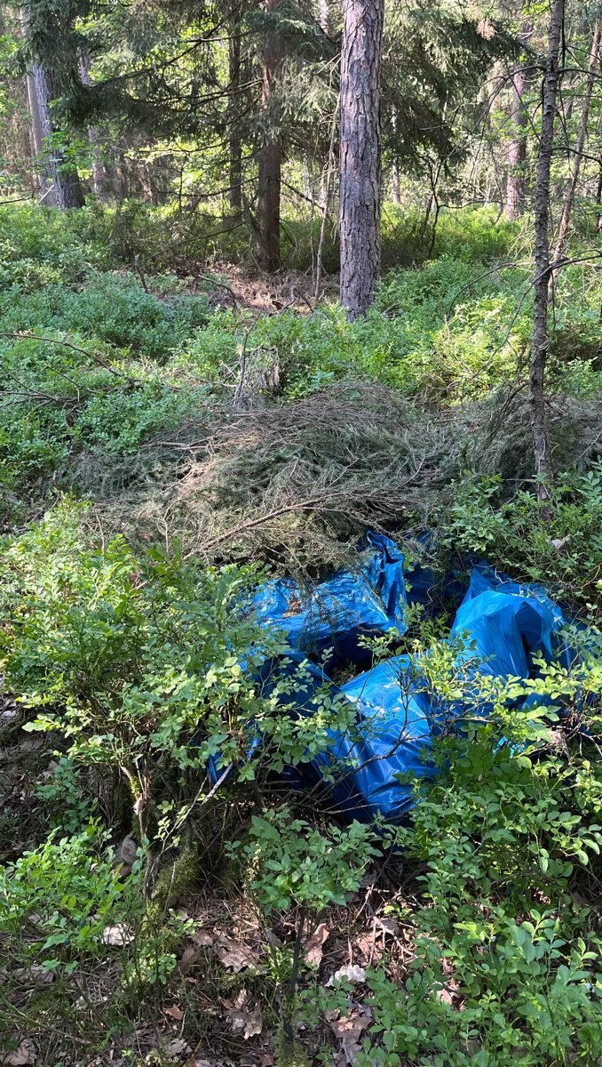 Verdächtige Personen in Waldstück – Hochwertiges Diebesgut sichergestellt