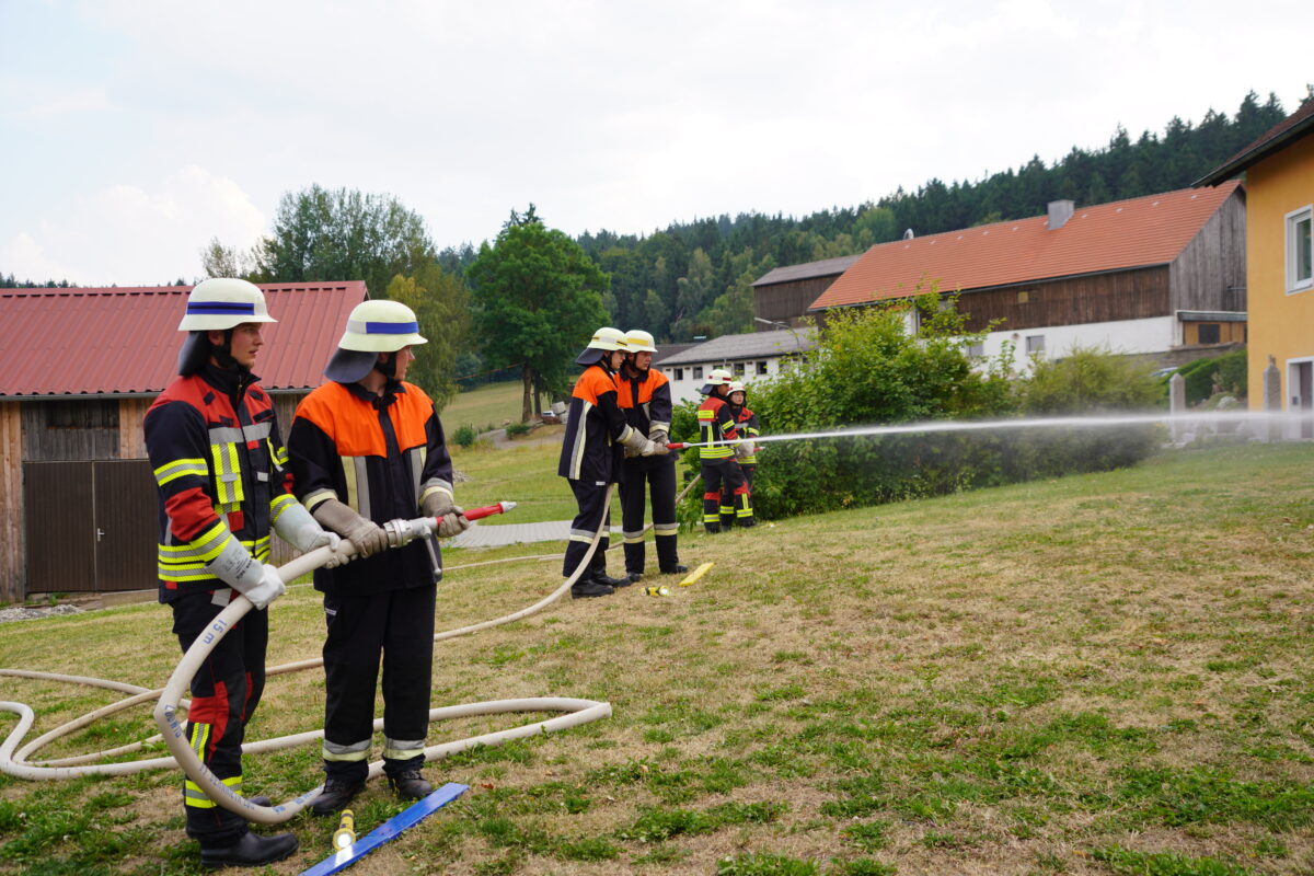 Hervorragend Leistung trotz enormer Hitze