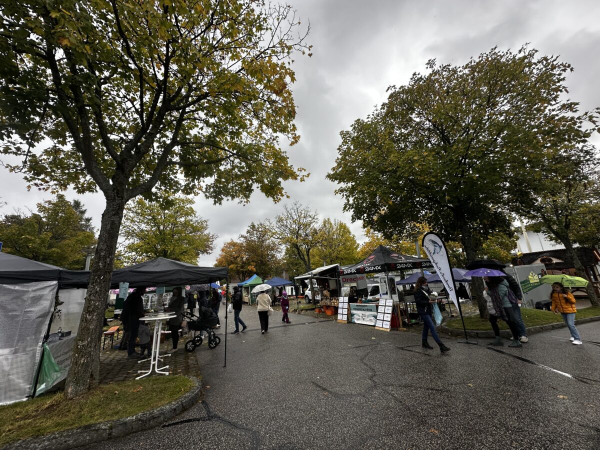 Dritter Erntedankmarkt in Neustadt nutzt erstmals die Stadthalle
