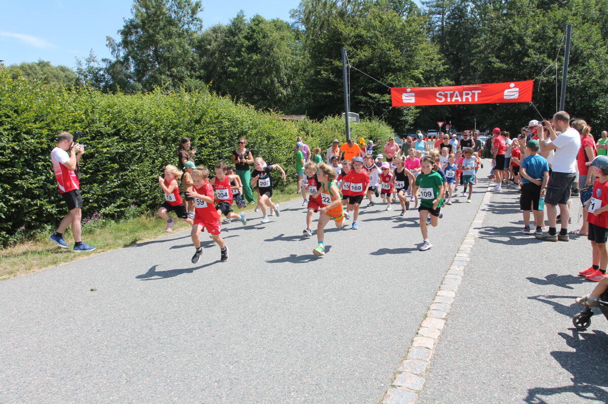 Birner und Völkl siegen beim 31. Stadtlauf in Pleystein
