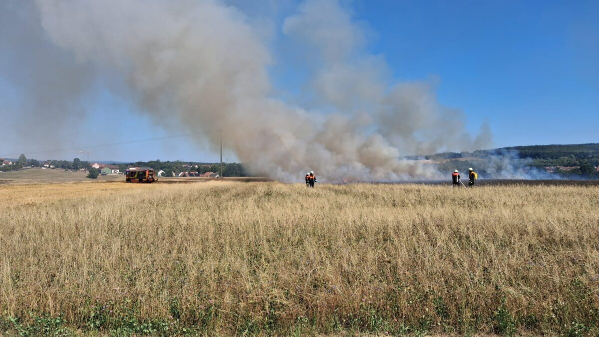 Landkreis Amberg-Sulzbach: Feuerwehren stoppen sieben Vegetationsbrände