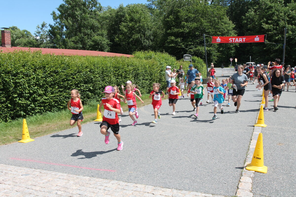 Finale des OVL-Cups 2026 beim 31. Stadtlauf in Pleystein