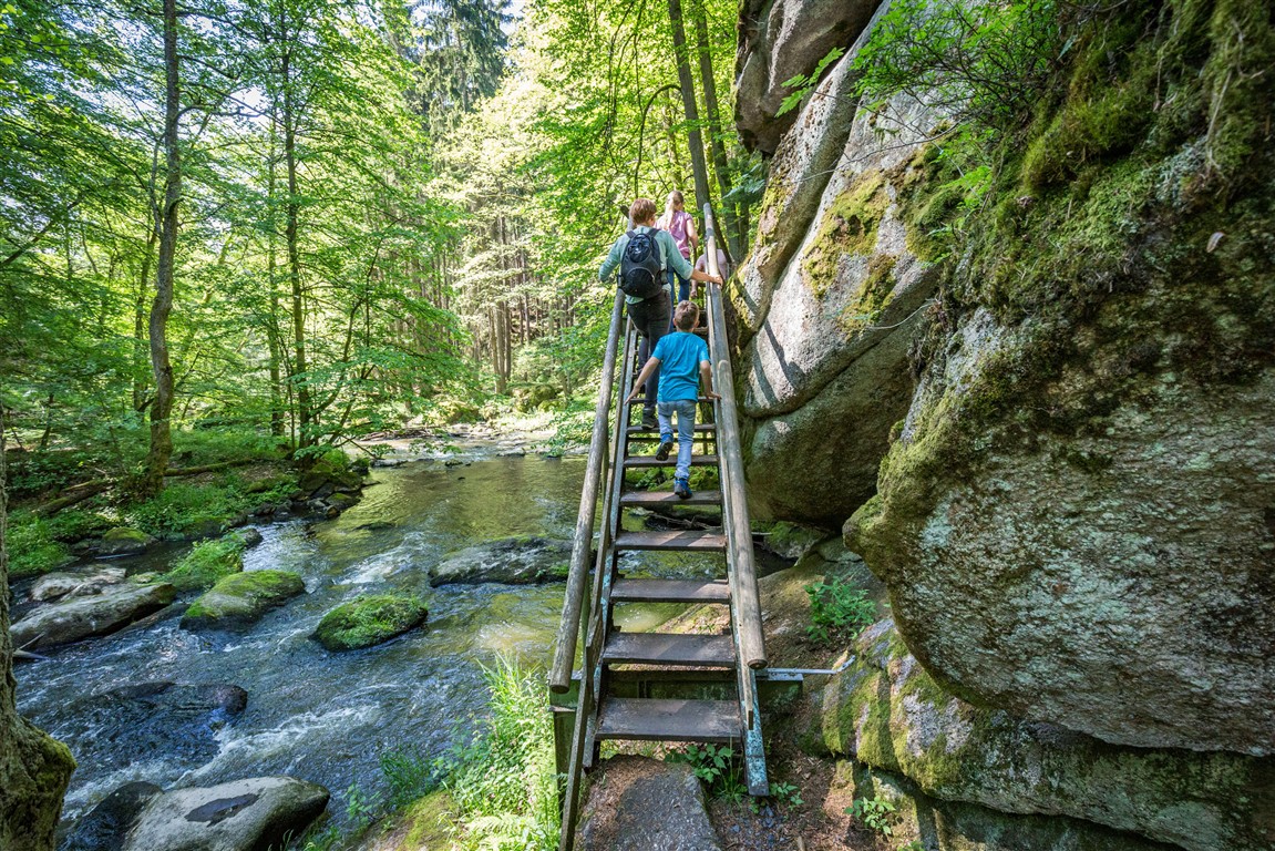 Umfrage bestätigt Tourismuserfolg im Oberpfälzer Wald