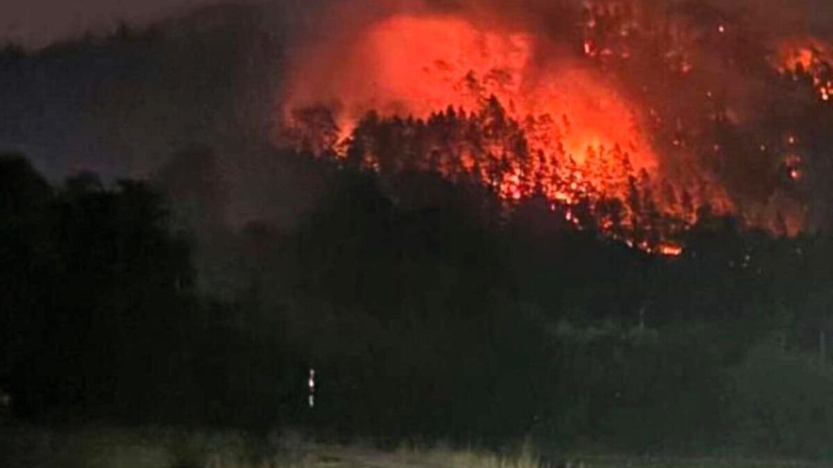 Waldbrand bei Freudenberg unter Kontrolle, aber vier verletzte Feuerwehrleute