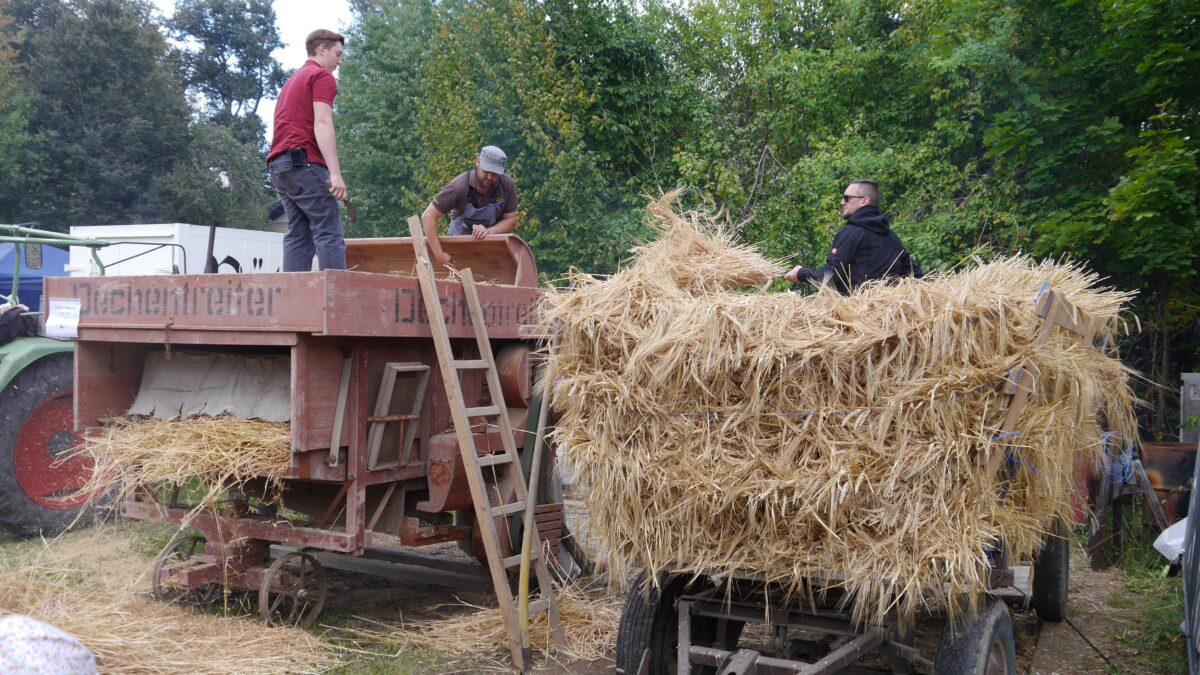 Erntedankfest am Gagglhof mit Musik, Brauchtum und Familienprogramm