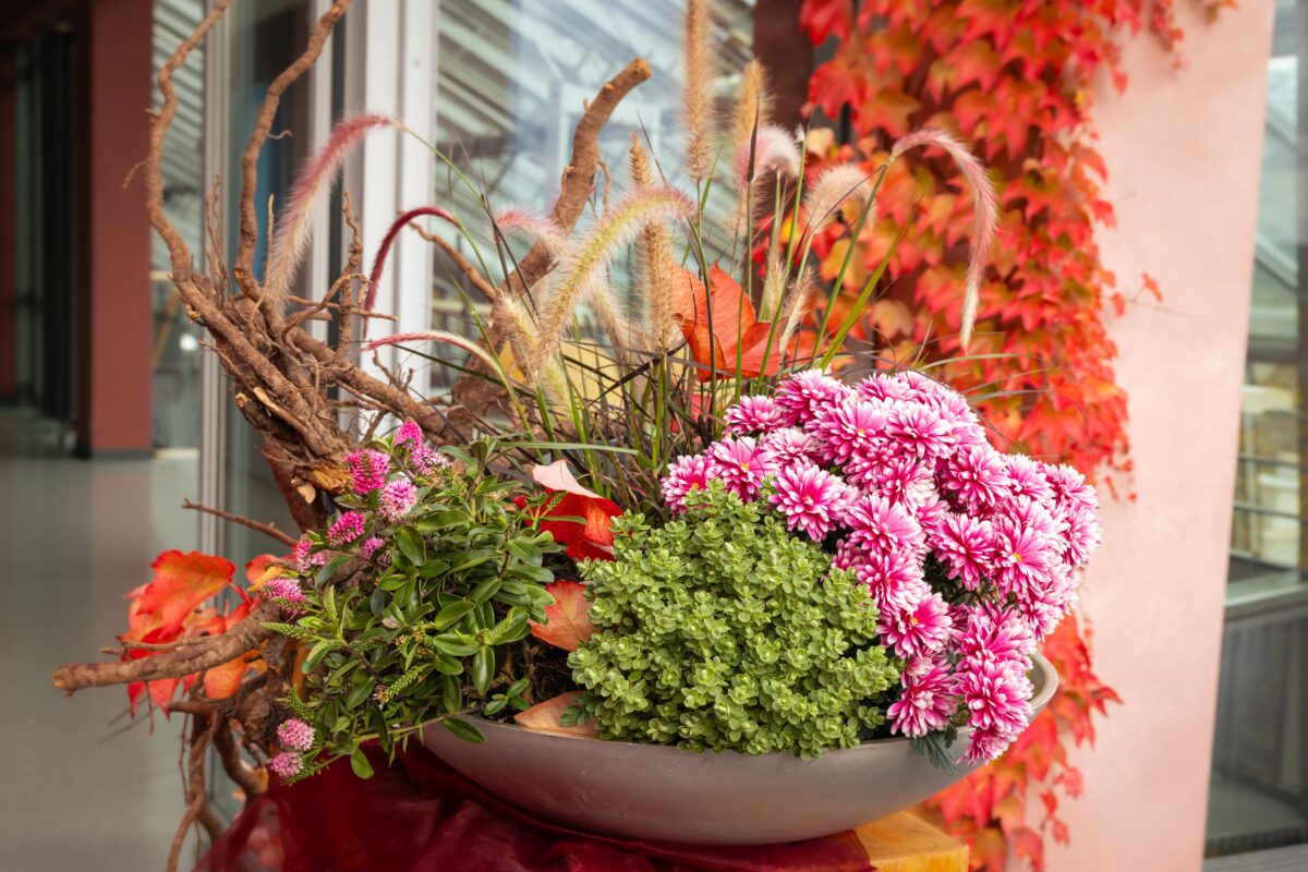 Der Frühling beginnt im Herbst: Steinhilber startet mit Kinderaktion in die bunte Jahreszeit