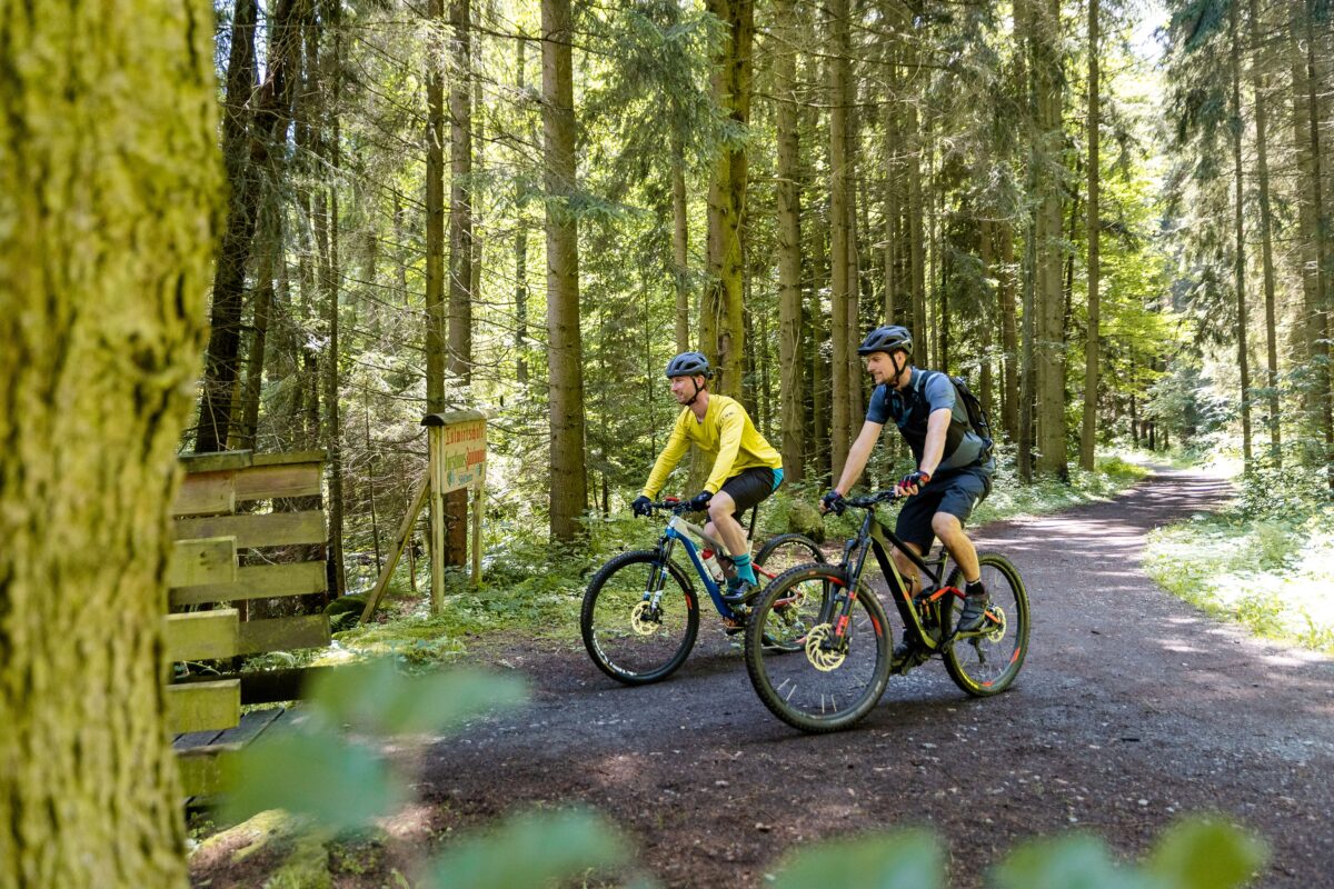 Genuss-Radeln im Steinwald feiert Premiere