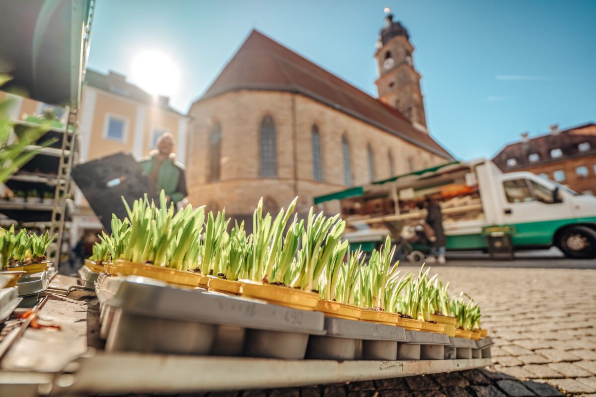 Kurz notiert: Amberg - Wochenmarkt vorverlegt