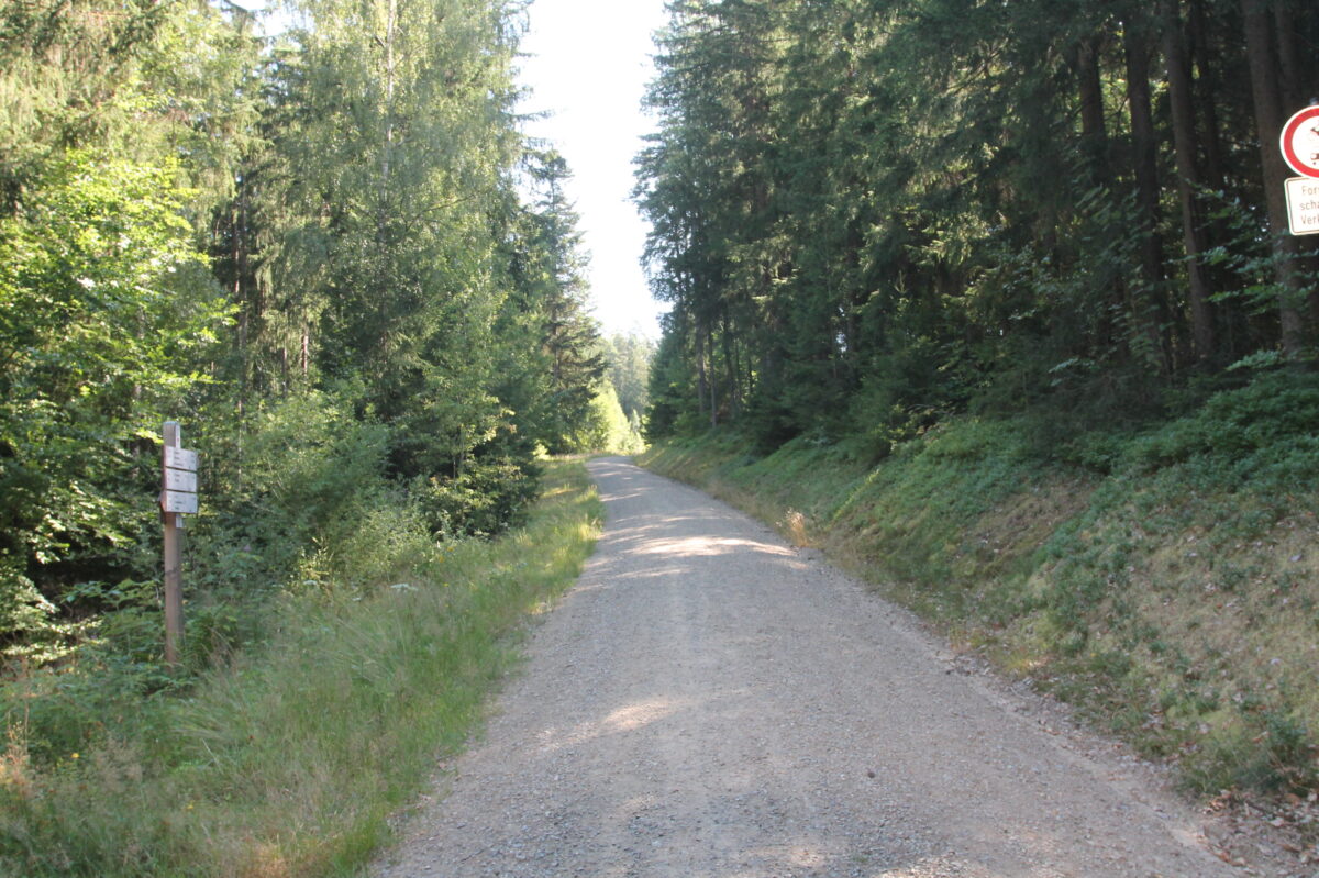 Mountainbike-Trail am Wurmstein entsteht in Flossenbürg