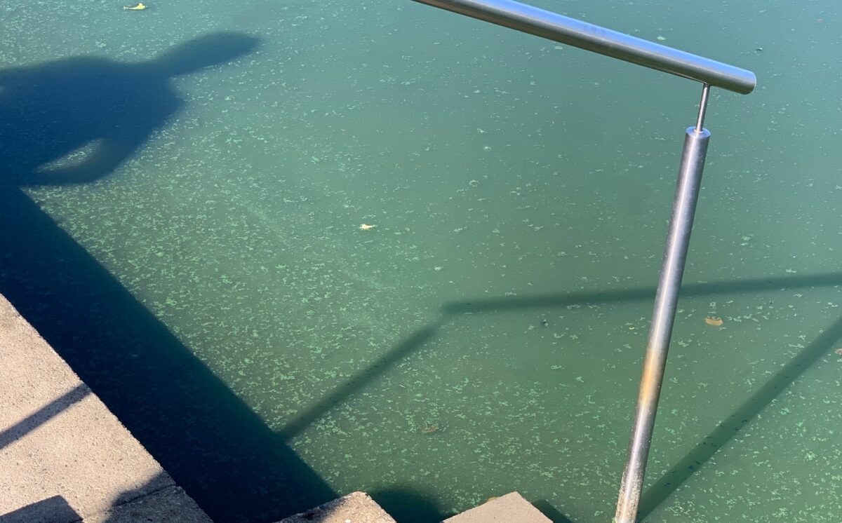 Vorsorgliches Badeverbot wegen erhöhter Blaualgenkonzentration am Naturbad Rußweiher