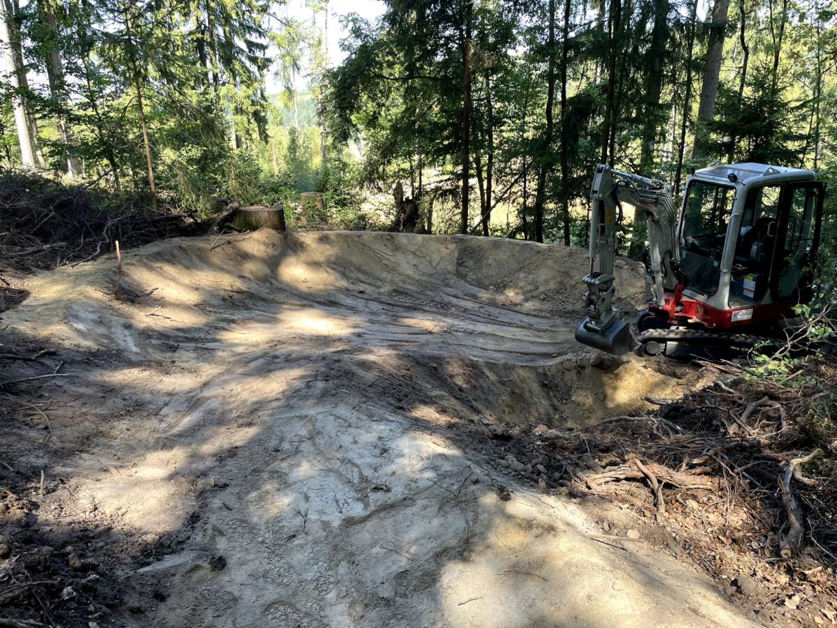 „4 Trails in 4 Zonen“ startet im Oberpfälzer Wald: Mountainbike-Trail am Wurmstein entsteht