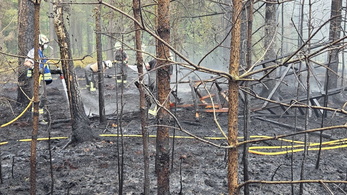 Waldbrand wütet im Manteler Forst: Über 10.000 Quadratmeter in Flammen