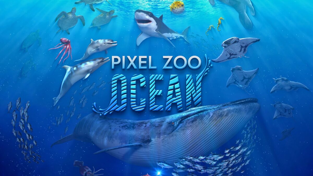 Pixel Zoo Ocean - eine immersive Reise durch den Ozean