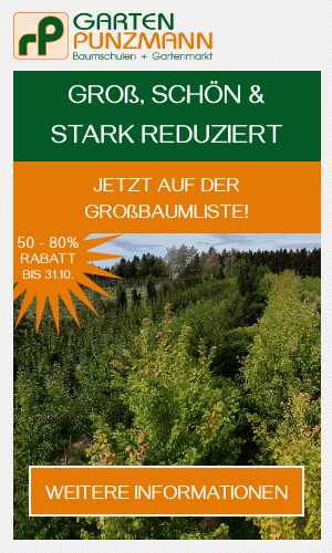 Garten Punzmann – Bäume