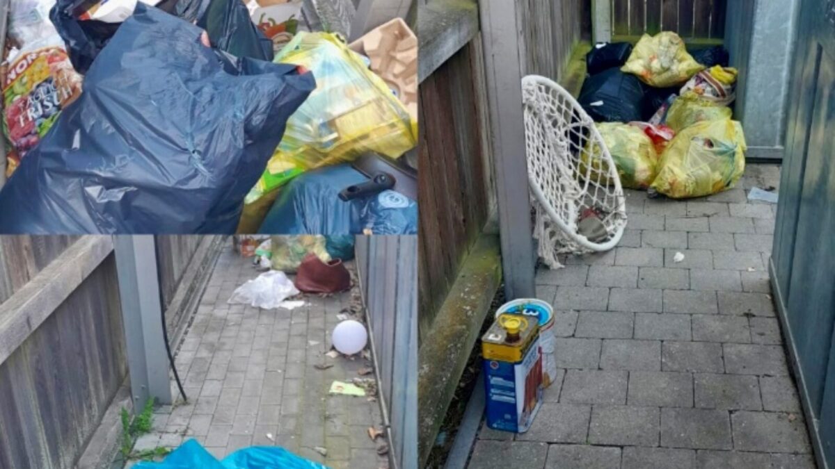 Vermehrte illegale Ablagerungen sorgen für zusätzlichen Aufwand und Kosten in Neustadt