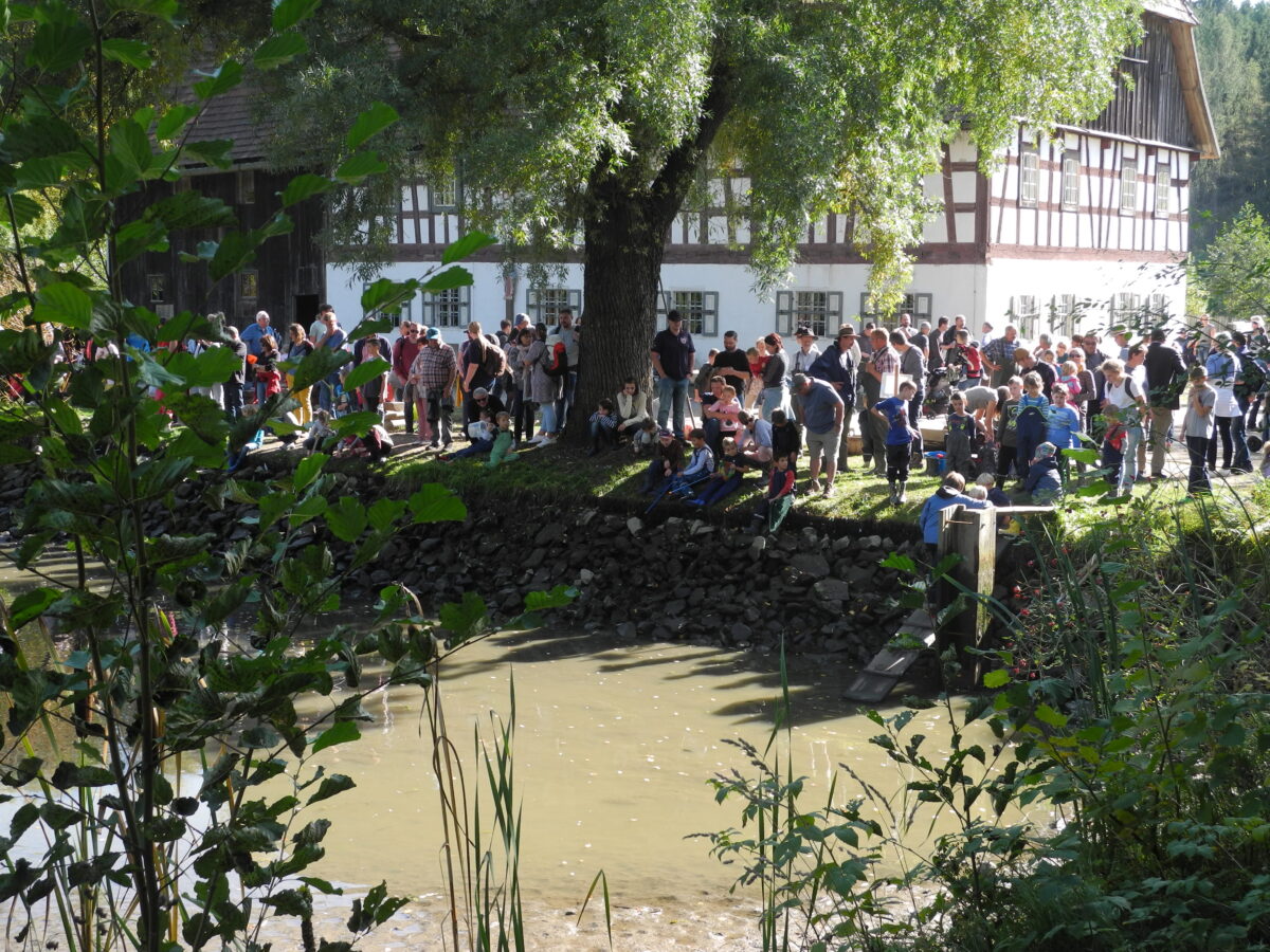 Abfischen, Drachensteigen und Fischschmankerl im Freilandmuseum